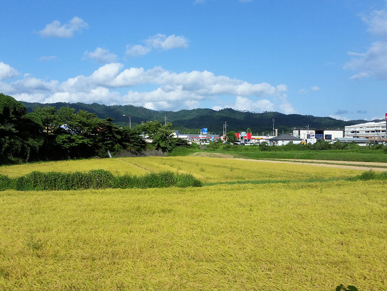 イメージ 14
