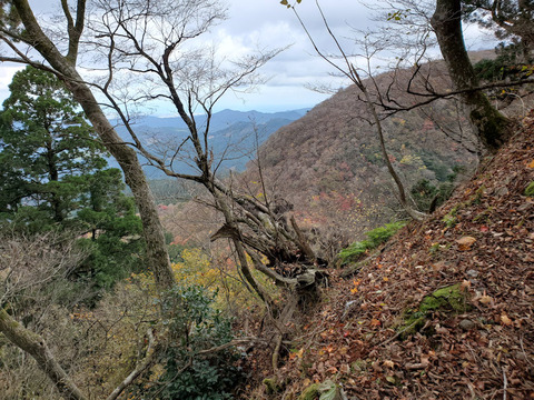 写真38