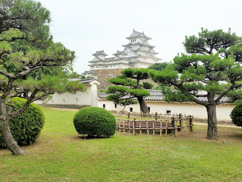 写真15