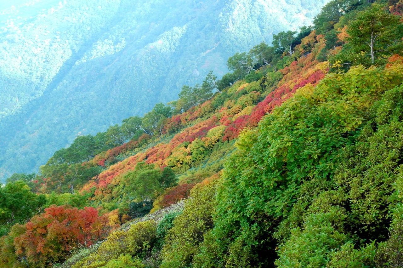 https://livedoor.blogimg.jp/mk2kpfb/imgs/1/8/18998b4f.jpg