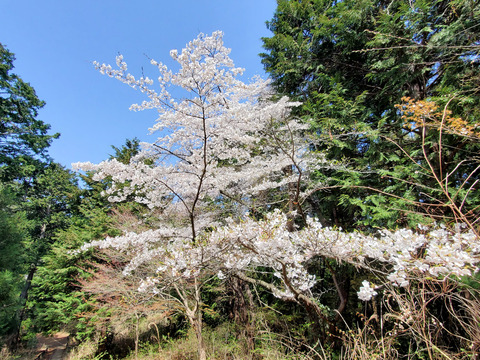 写真07