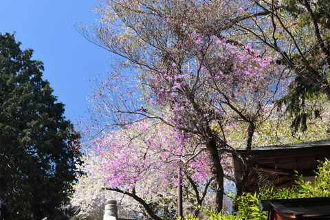 写真4