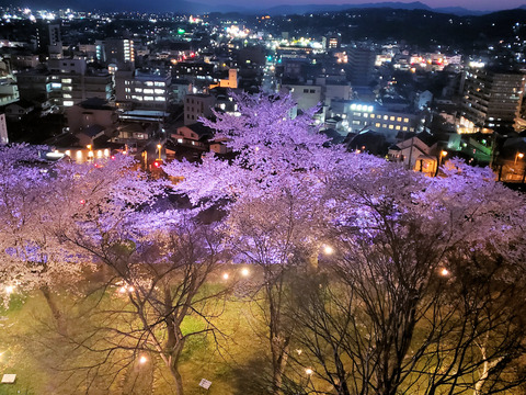 写真063