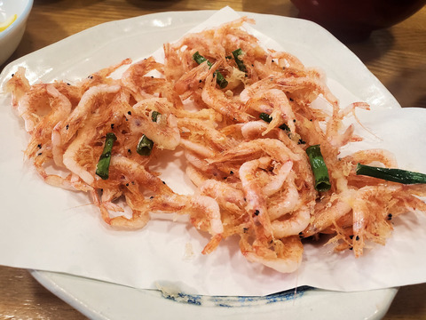 写真01
