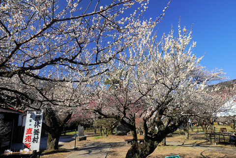 写真04