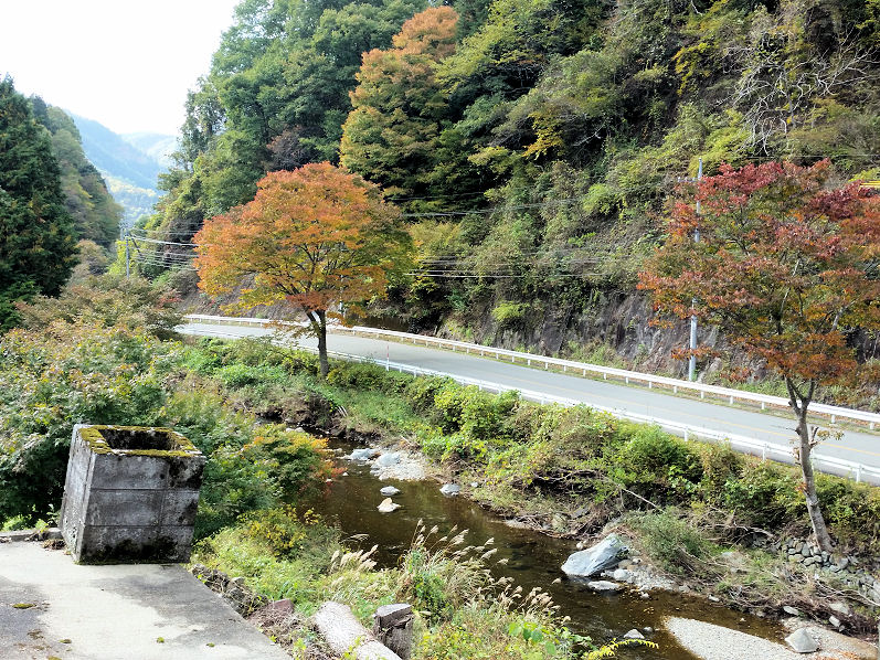 イメージ 4
