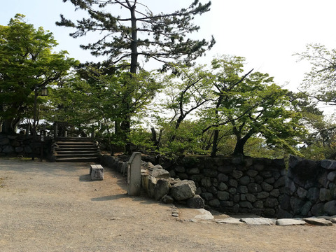 写真10