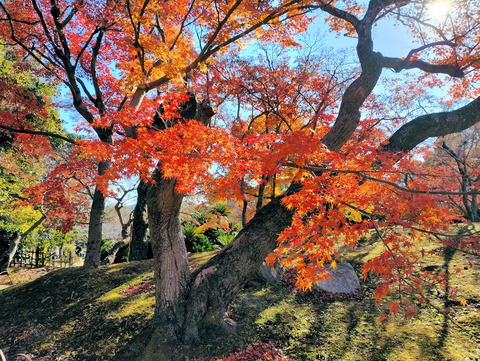 写真03