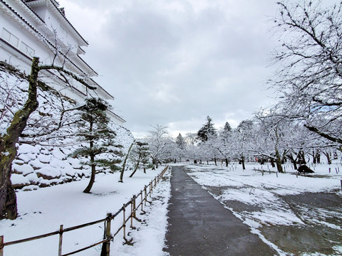 写真33