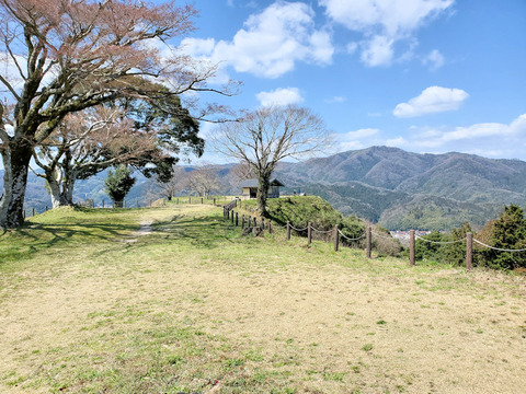 写真26