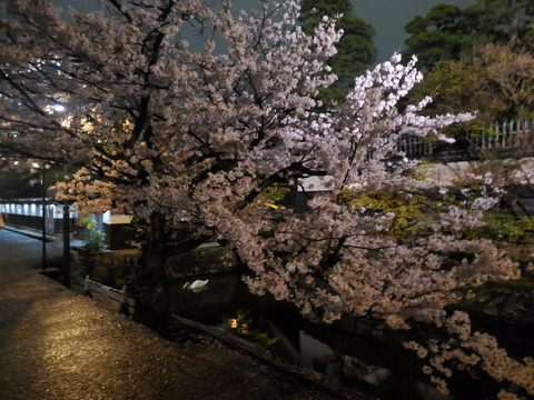 写真103