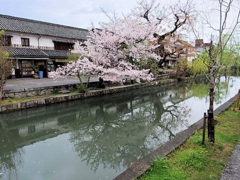 写真112