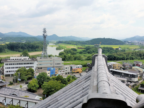 写真46