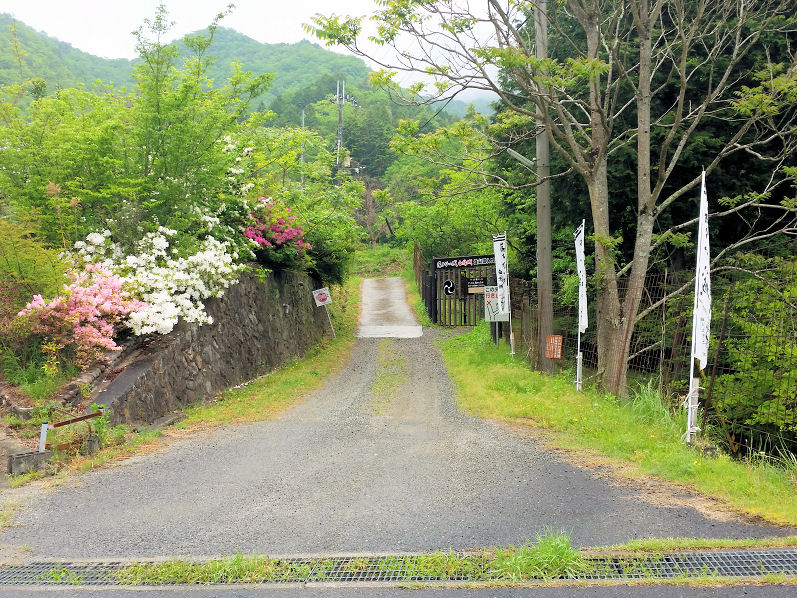 イメージ 9