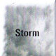 Z_Marker_Weather_Storm