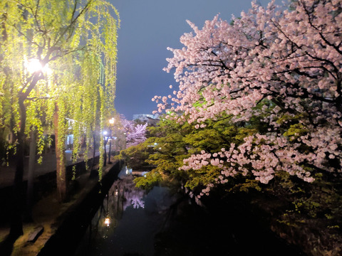 写真107