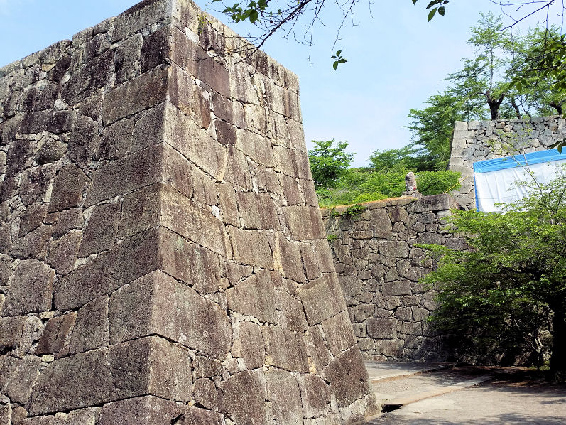 イメージ 4