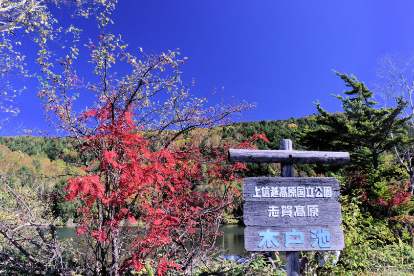 イメージ 13