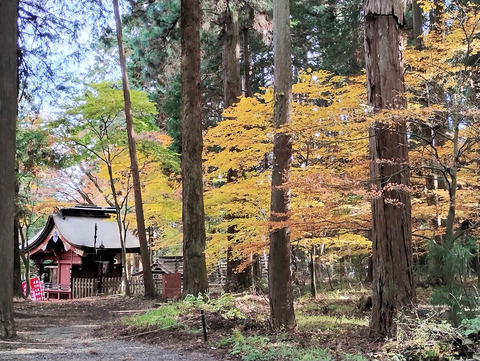 写真39
