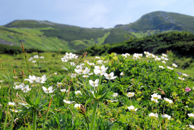 https://livedoor.blogimg.jp/mk2kpfb/imgs/2/c/2cd9451e.jpg