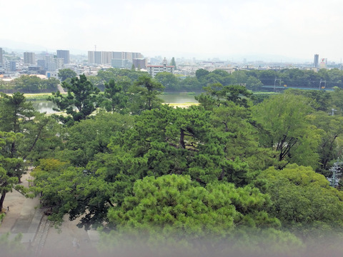 写真02