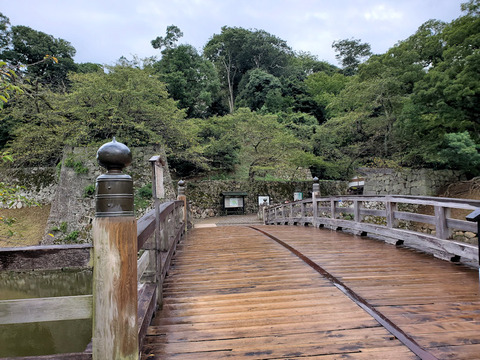 写真01