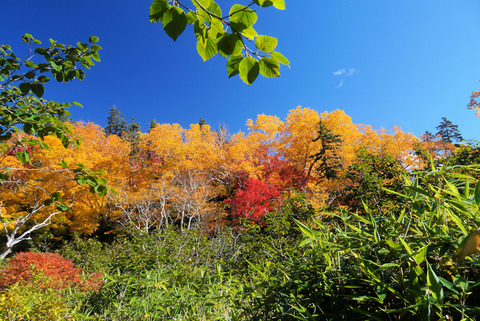 写真129