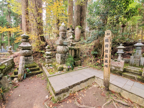 写真61