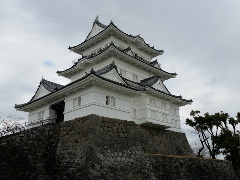 イメージ 6