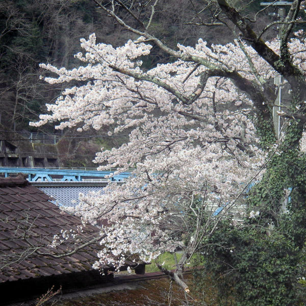 https://livedoor.blogimg.jp/mk2kpfb/imgs/3/7/3771ab70.jpg