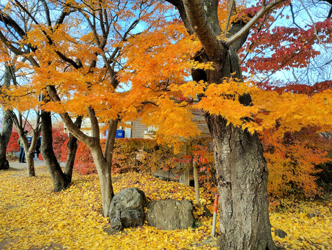 写真28