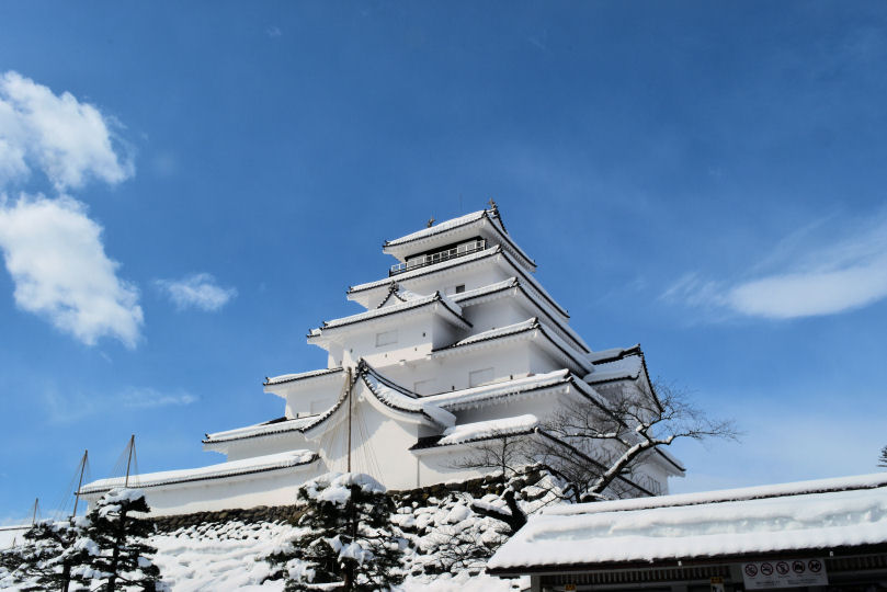 イメージ 8