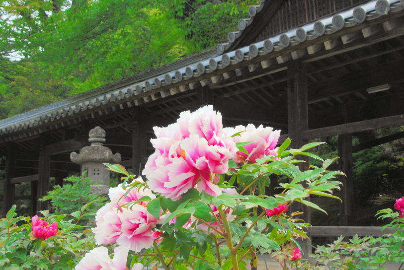 https://livedoor.blogimg.jp/mk2kpfb/imgs/3/8/389e00b5.jpg