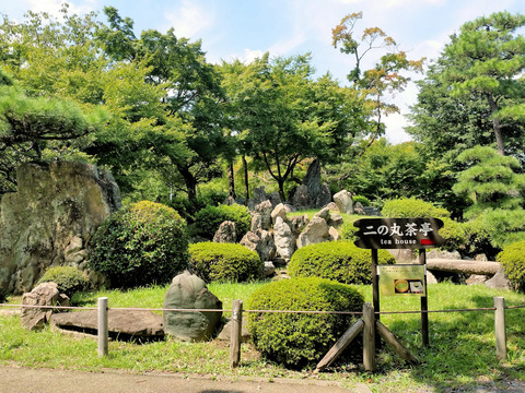 写真14