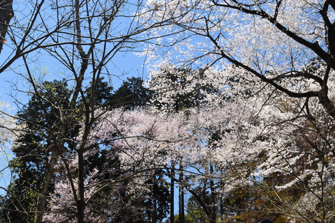 写真7