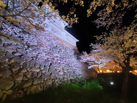 写真064