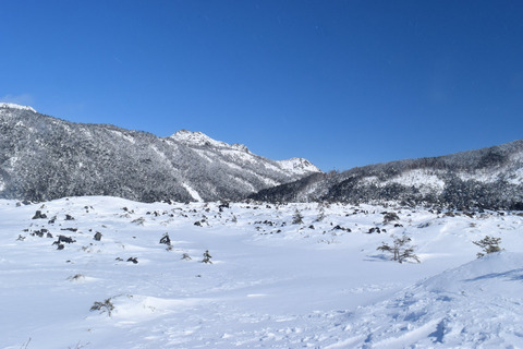写真23
