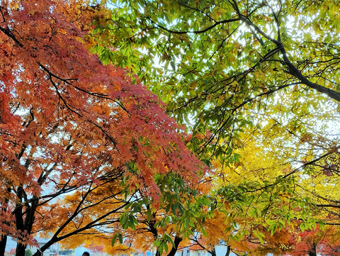 写真26