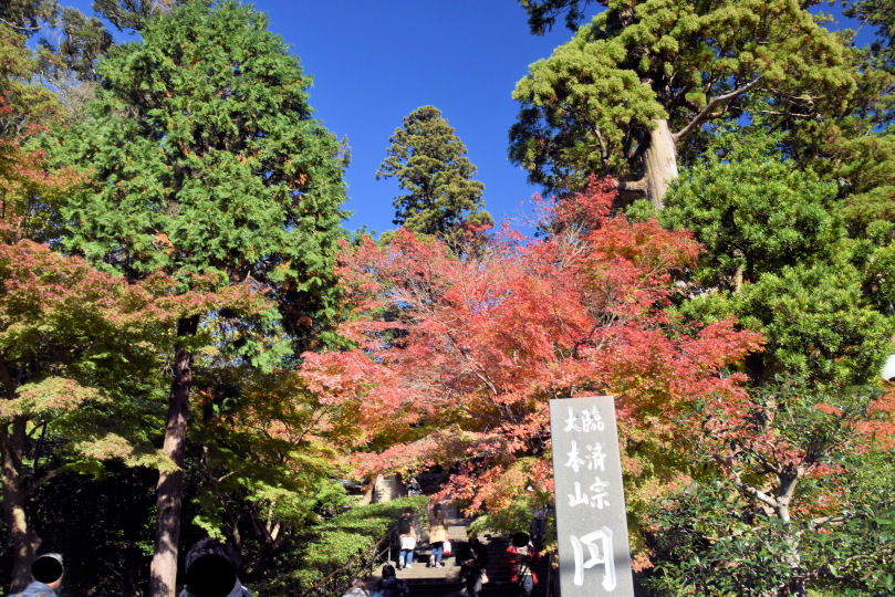 イメージ 6