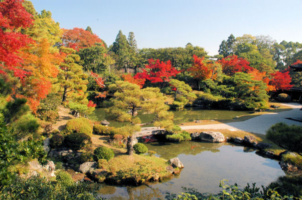 https://livedoor.blogimg.jp/mk2kpfb/imgs/3/c/3cc43fde.jpg