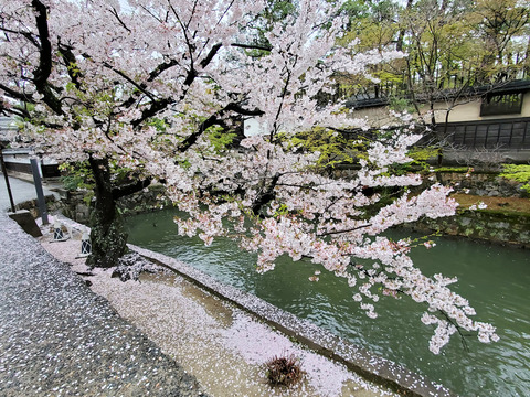 写真108