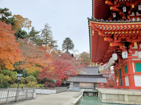 写真04