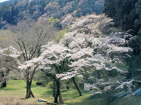 写真13