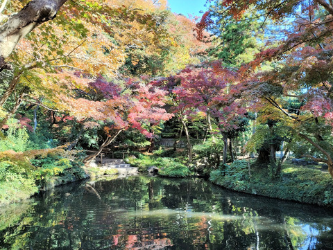 写真07