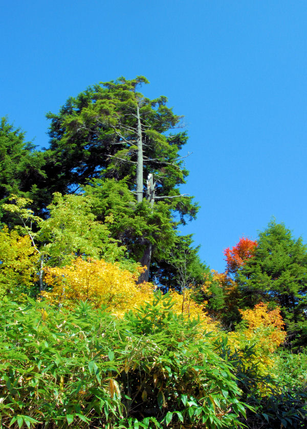 https://livedoor.blogimg.jp/mk2kpfb/imgs/4/3/437e4053.jpg