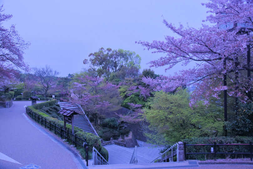 イメージ 8