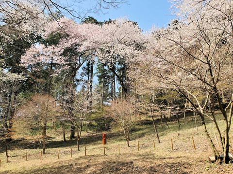 写真08