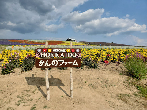 写真08