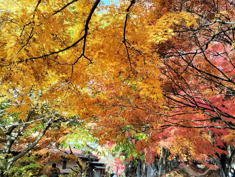 写真23