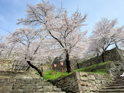 写真071